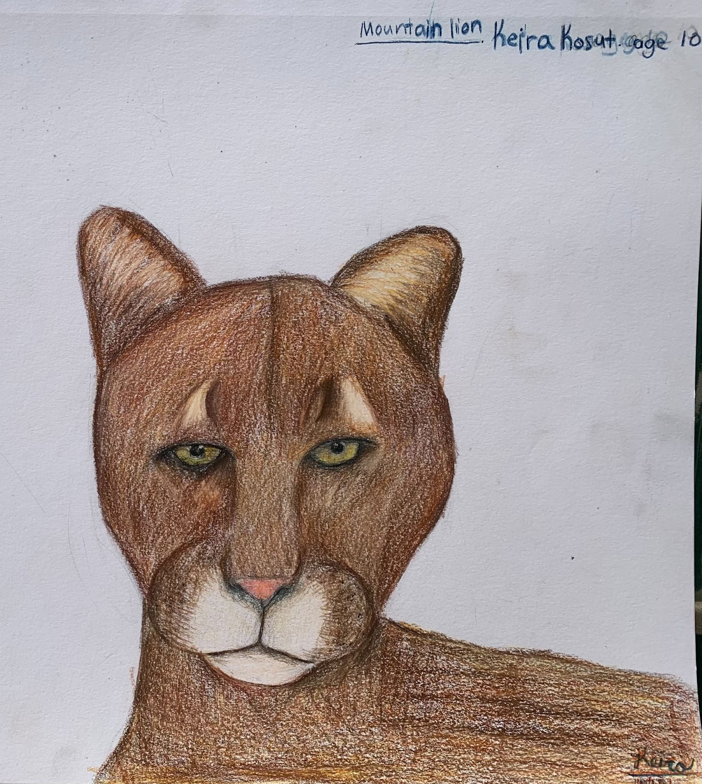 MntLion