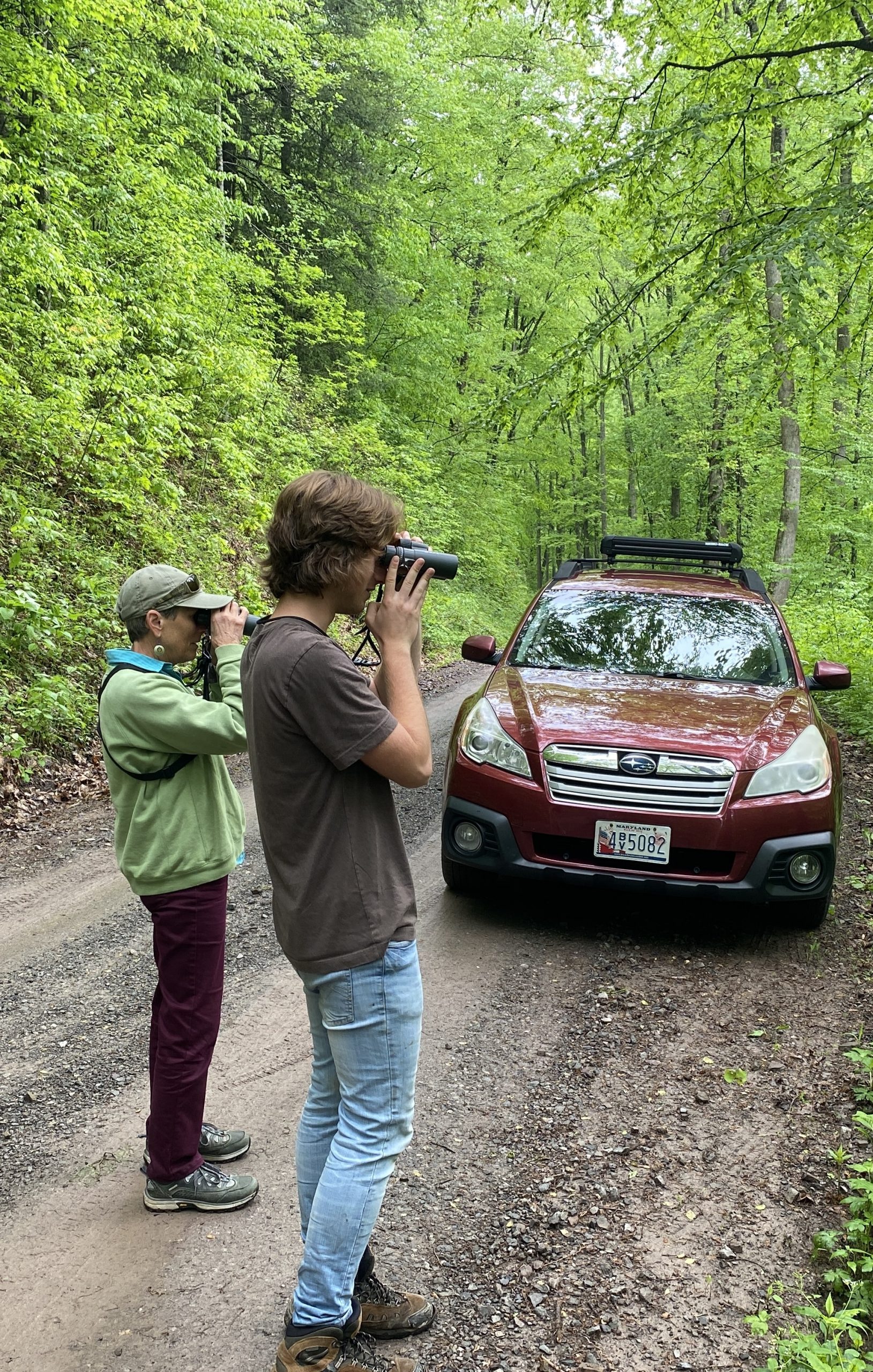 Aaron Birding