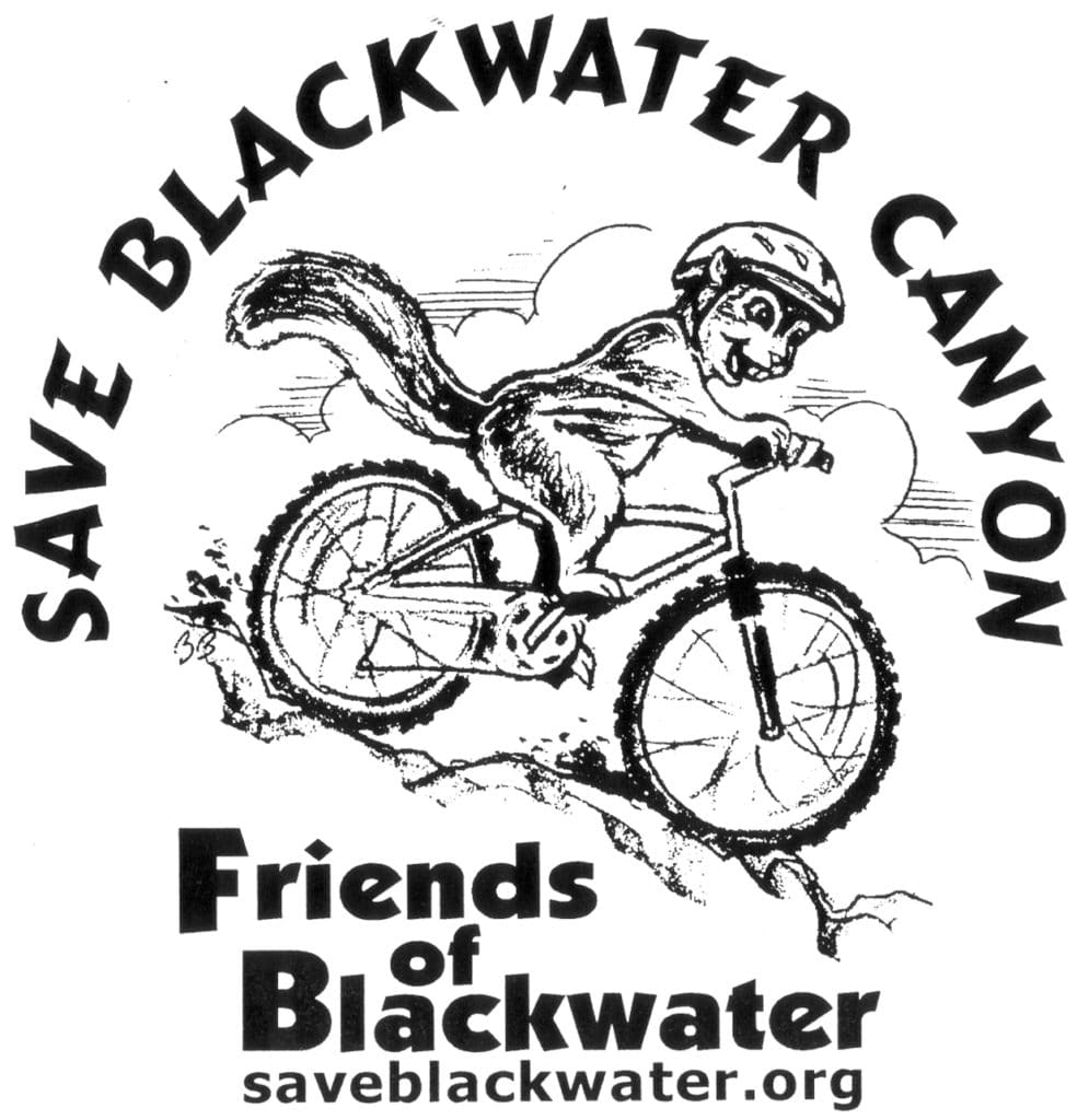 t-shirt with an illustration of a flying squirrel biking